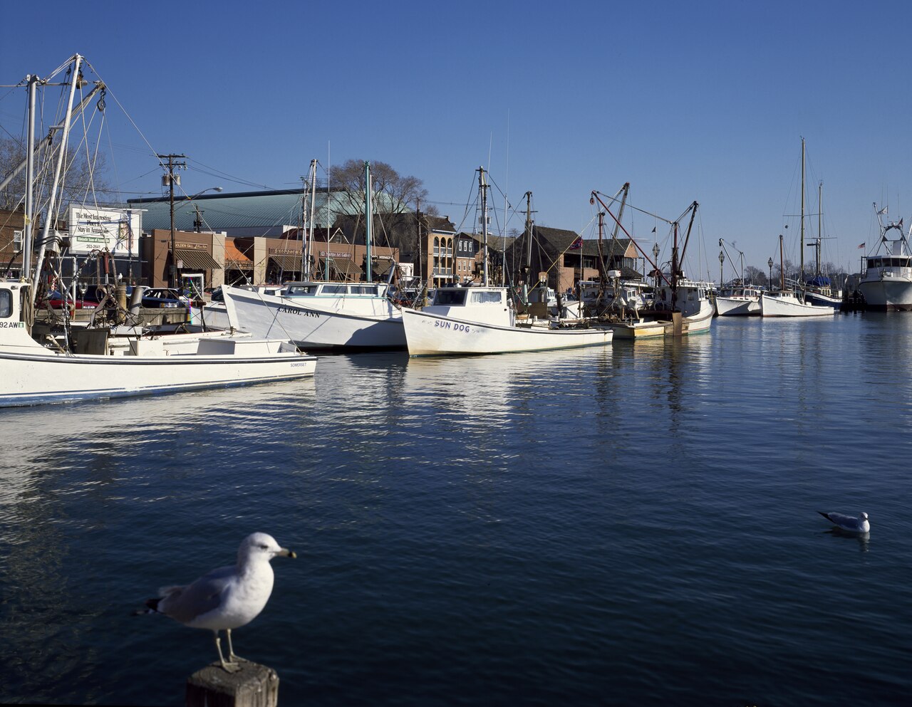 Annapolis Harbor